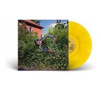 How To Make A Master Peace Vinyle Jaune Translucide