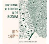 How to Make an Algorithm in the Microwave by Maya Salameh Maya Salameh (Auteur)