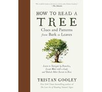 How to Read a Tree: Clues and Patterns from Bark to Leaves