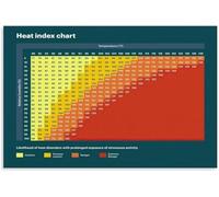 How to Read Heat Index Chart Meteorology Reference Poster Canvas Wall-Art for Office Study Room Decor(Unframed,16x24inch(40x60cm))