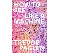 How to See Like a Machine: Images After AI