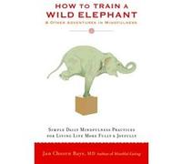 How to Train a Wild Elephant by Jan Chozen Bays Inconnu (Auteur)