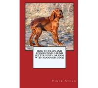 How to Train and Raise a Irish Setter Puppy or Dog with Good Behavior