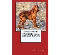 How To Train And Raise A Irish Setter Puppy Or Dog With Good Behavior