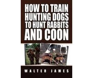 How To Train Hunting Dogs To Hunt Rabbits And Coon