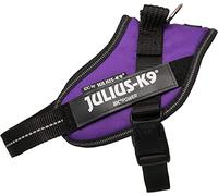 How to Train Your Dragon Dragons Dreamworks - Pack Dragon + Viking Alex & Panache Dragons Les Neuf Royaumes