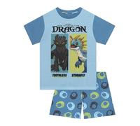 How To Train Your Dragon Pyjama Garçon Dragons, Pyjama Long Garçon à Manches Longues, Ensemble Pjs