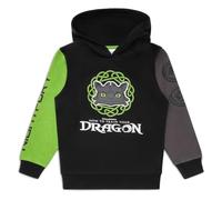 How To Train Your Dragon Sweat à capuche pour garçon - En coton noir - Avec logo - Pull à manches longues - 6-13 ans, Noir , 11-12 ans