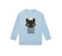 How To Train Your Dragon Sweat Enfant Fille, Pull Fille Toothless, Pull Enfant Coton, Bleu 12-13 Ans