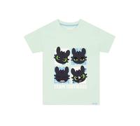 How To Train Your Dragon T Shirt Fille, T-Shirt Enfant Toothless, Vetement Fille, Vert 7-8 Ans