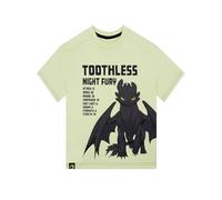 How To Train Your Dragon T Shirt Garcon, Vêtements Garçon Toothless, Chemise Ete Cotone, Vert 5-6 Ans