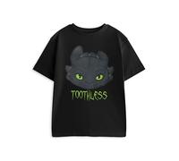 How To Train Your Dragon T-Shirt Noir à Manches Courtes pour garçon| T-Shirt Graphique avec imprimé Personnage | Articles de cinéma pour Enfants pour Une Tenue décontractée