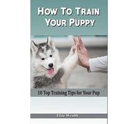 How To Train Your Puppy: 10 Top Training Tips For Your Pup