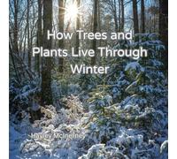 How Trees and Plants Live Through Winter