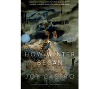 How Winter Began by Joy Castro Joy Castro (Auteur)