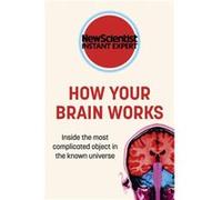 How Your Brain Works by New Scientist New Scientist (Auteur)