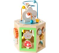 howa cube de motricité 'my rainbow' bois 6010