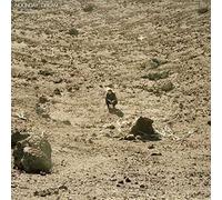 Ben Howard Noonday Dream (Vinyl) 12" Album