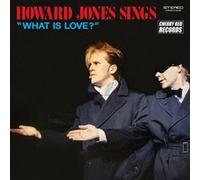 Howard Jones – Sings « What Is Love ? » – Vinyle bleu 12" 33 tours