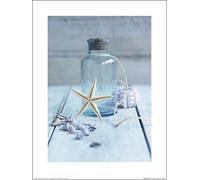 Howard Shooter (Seaside Treasure 30 x 40 cm Toile Imprimée, Décoration Murale