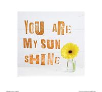 Howard Shooter (You are My Sun Shine 40 x 40 cm Toile Imprimée