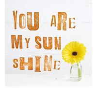 Howard Shooter (You are My Sun Shine 40 x 40 cm Toile Imprimée, Décoration Murale