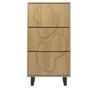 HowHomely | Armoire à chaussures 115 cm - Commode à chaussures moderne avec rabats - Armoire de rangement couloir - Étagère à chaussures étroite pour petits espaces - Système de rangement