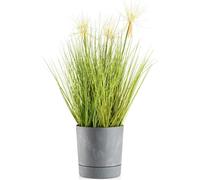 HowHomely | Bac à plantes Azalea - 17,5 cm - Gris - Pots de fleurs - Résistant aux intempéries, Design minimaliste