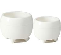 HowHomely | Bac à plantes - Botanica - Crème - Design élégant - Stable avec pieds - Facile d'entretien - Pots de fleurs