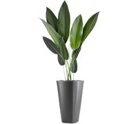 HowHomely | Bac à plantes - Mora - 39x61 cm - Anthracite - Design moderne - Résistant aux intempéries et léger