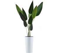 HowHomely | Bac à plantes - Urbanika Riflo - 46 cm - Blanc - Résistant au gel - Design moderne