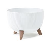 Howhomely Blumentopfl 15cm Height - Plant Pot White - Spanter with legs