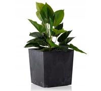 HowHomely Flore Pot de fleurs en plastique Noir 11 l 25,6 cm x 25 cm x 25 cm Décoration