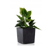 HowHomely Flore Pot de fleurs en plastique Noir 4,7 l 19,3 cm x 19 cm x 19 cm Décoration, HH-FLORE-CZ-BETON-19