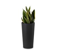HowHomely Grand pot de fleurs de 37 cm avec insert en pot de 20 cm de diamètre - Grand pot noir en plastique pour décorer votre salon, jardin ou terrasse