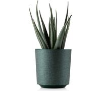 HowHomely | Jardinière Aloe Texelle - 19,5 cm - Cache-pot vert - Design moderne, facile à nettoyer