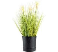 HowHomely | Jardinière Azalea - 17,5 cm - Béton noir - Pots de fleurs - Résistant aux intempéries, Design minimaliste