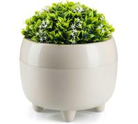 HowHomely | Jardinière - Botanica - 23x18 cm - Beige - Design élégant - Stabilité et facilité d'entretien