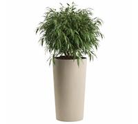 HowHomely Jardinière - Cache-pot - Beige - 30 x 30 x 57 cm - Décoratif - Rainuré - Structure moderne et classique - Pour l'intérieur et l'extérieur