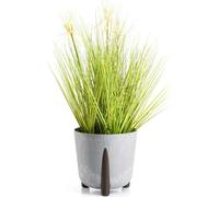 HowHomely | Jardinière - Moss - 26x25 cm - Béton gris - Design moderne - Respect de l'environnement