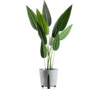 HowHomely | Jardinière - Moss - 30x28,5 cm - Béton gris - Design moderne - Respect de l'environnement