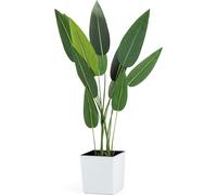 HowHomely | Jardinière - Riflo - 25x25 cm - Blanc - Design élégant - Résistant au gel et durable