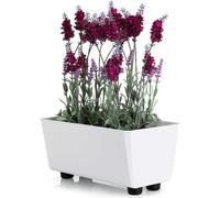 HowHomely | Jardinière - Salvia - 28,5x17 cm - Blanc - Design minimaliste - Résistant aux intempéries et facile d'entretien