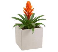 HowHomely Pot de fleurs, blanc, 30 x 30 x 30 cm, sur roulettes, structure en béton, moderne, pour jardin, balcon, terrasse