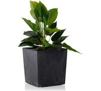 HowHomely Pot de fleurs Flore 19 cm de hauteur, bac à plantes, noir Cache-pot pour jardin balcon