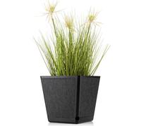 HowHomely | Pot de fleurs Pilea Texelle, Noir - 24 x 24 cm - Pots de fleurs, Design moderne, avec hygromètre