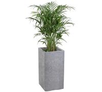 HowHomely Pot de fleurs sur roulettes - Gris - 60 x 30 cm - Structure en béton - Moderne - Pour jardin, balcon, terrasse
