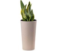 HowHomely Pot de fleurs Urbanika 47 cm de hauteur, bac à plantes, beige Cache-pot pour jardin balcon