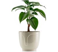 HowHomely Pot de fleurs Zoe hauteur 14 cm, bac à plantes, beige Cache-pot pour jardin balcon