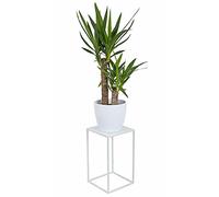 HowHomely Support moderne en métal pour plantes Blanc 40 cm